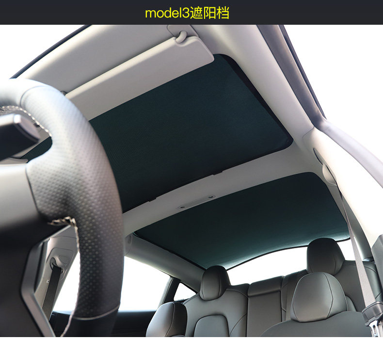 TESLA DETALIS_17.JPG