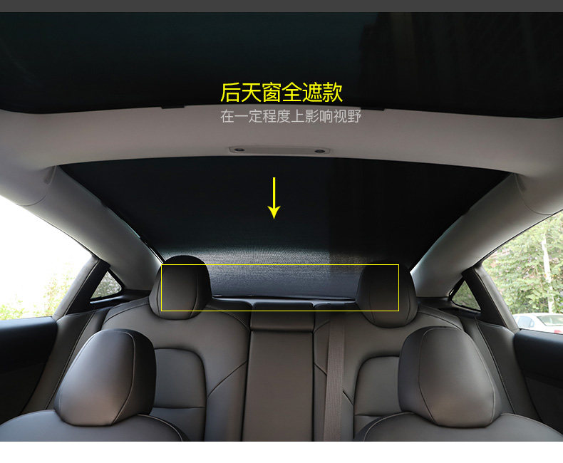 TESLA DETALIS_08.JPG