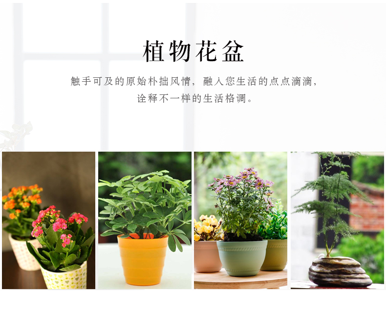 Ice crack ceramic flower POTS and colorful more meat, green asparagus orchid flowers exchanger with the ceramics vase contracted polychromy furnishing articles