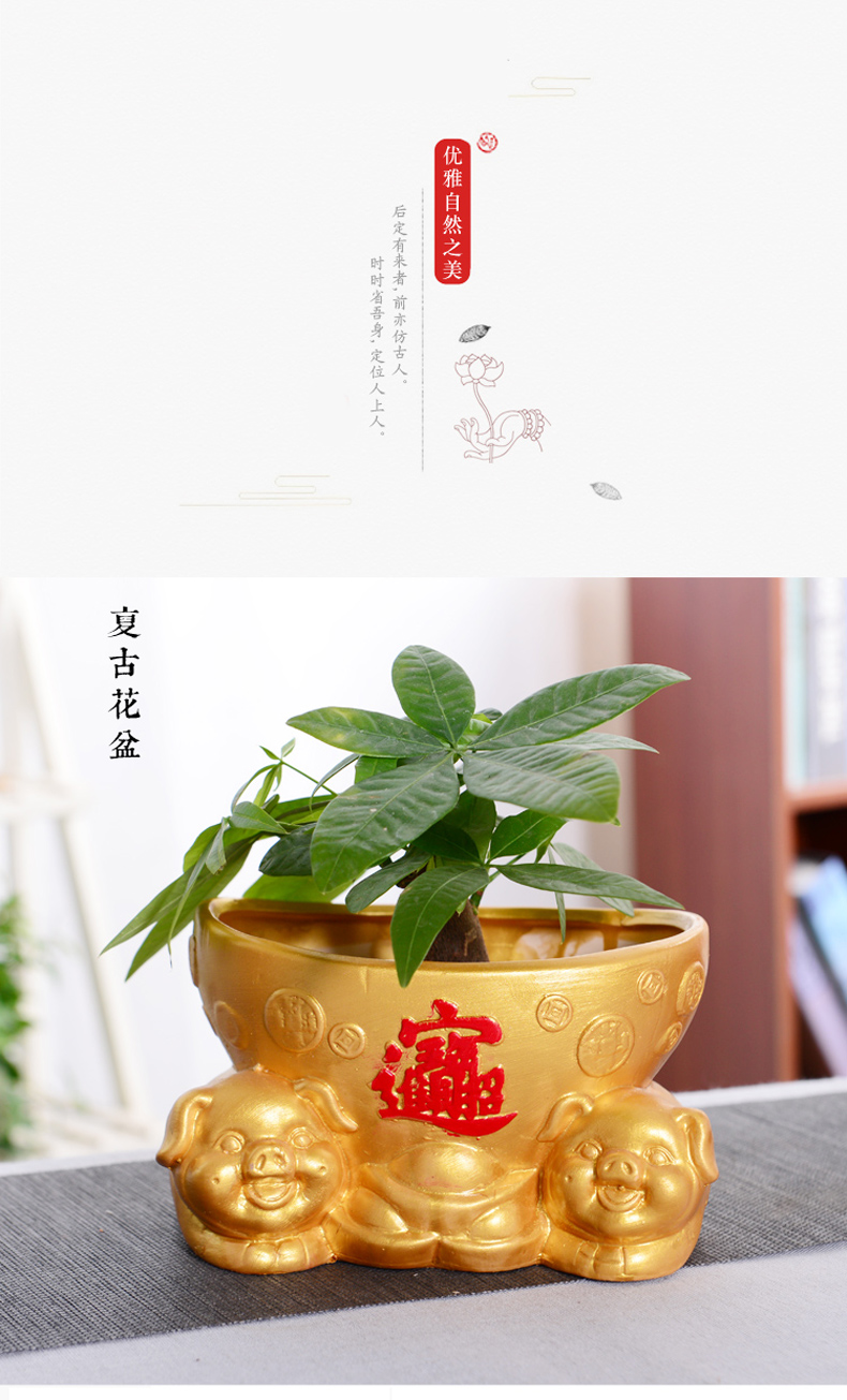 Restoring ancient ways is rich pig ceramic flower pot rich banyan tree European flower implement move flowerpot lucky auspicious pig and flower POTS