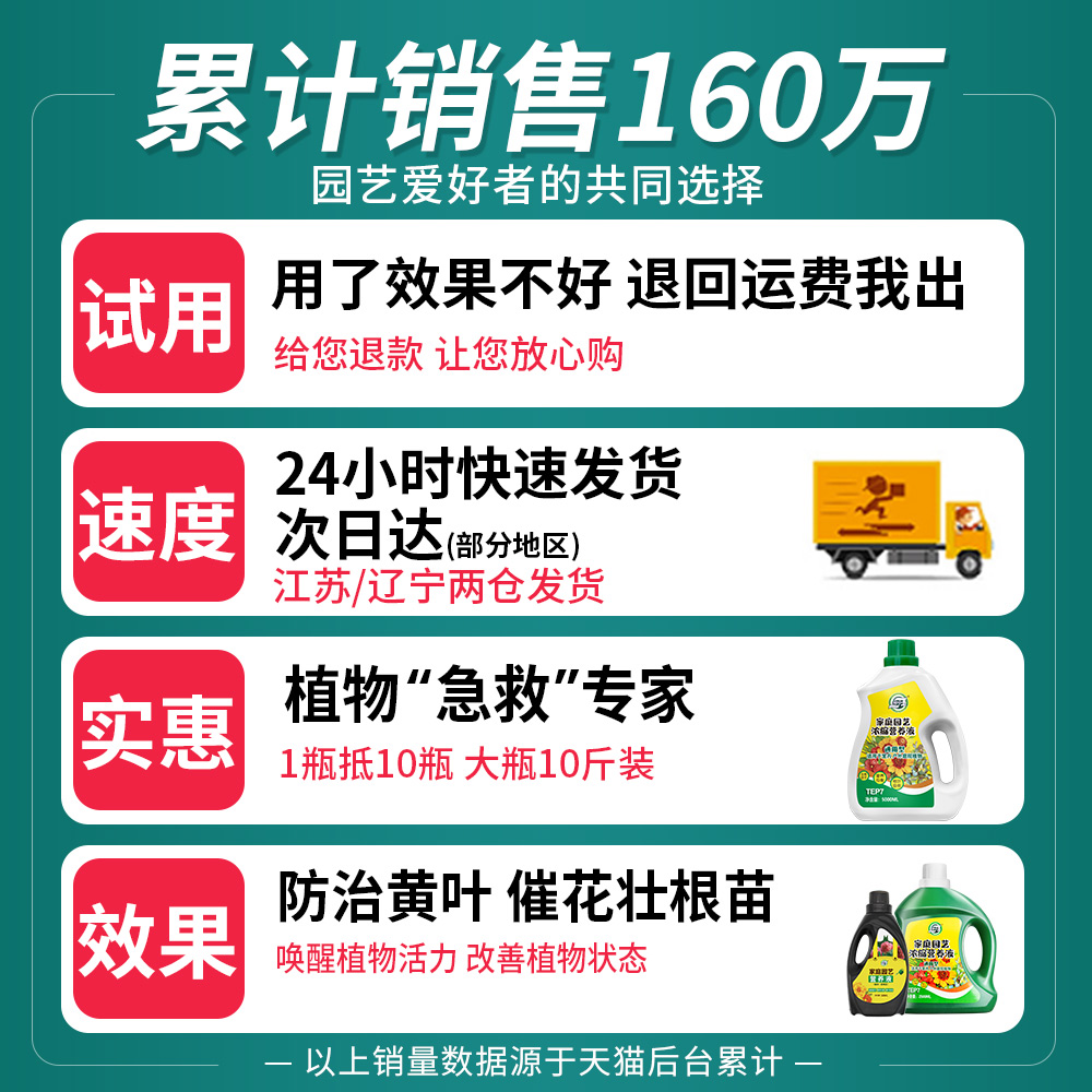 潮汐苗床到底有多牛？水培种植的秘密武器来了！