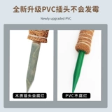 坤宁王 Растение скалолазания становятся сильными