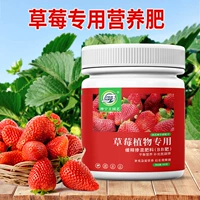 Специальное медленное удобрение Strawberry (длительное выброс питательных веществ)