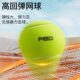 Tennis Rope Trainer for Solo Play, Self-Rebound, Professional Fixed High-Elasticity Competition Ball with String for Practice