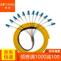 Boyang BY-LC12 Telecom Grade Fiber Patch Cord 1 5 M 12 Core Single Mode LC Bundle Pigtail Support ODF Rack 1