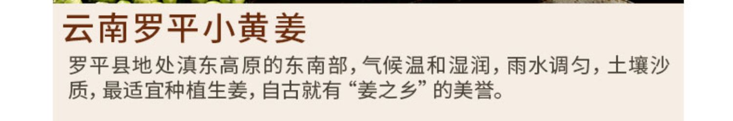 自然机理鲜参饮长白山5年新鲜人参皂