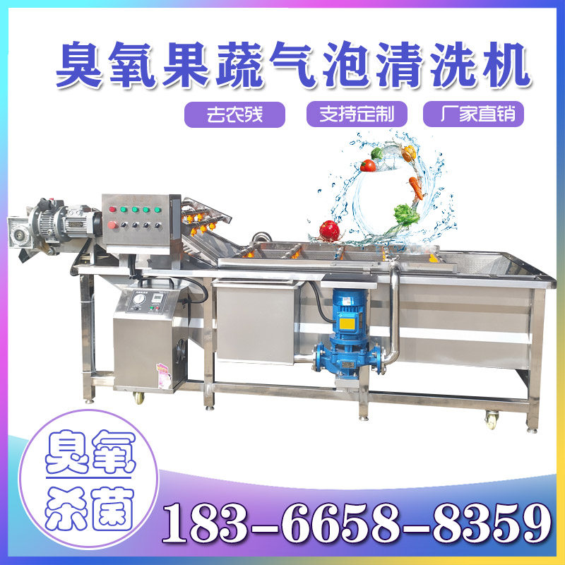 Commercial fruit and vegetable ozone germicidal cleaning equipment Fruit vegetable cleaning machining Pipeline Cherry Bubble Cleaner