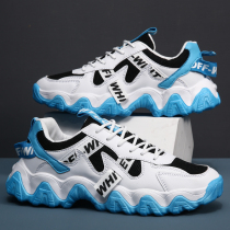 Autumn Youth Mens shoes 12 big Children 13 junior high school students boy 14 sports mesh 15 years old breathable leisure father