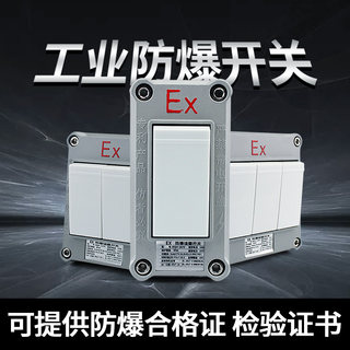Explosion-proof switch 220v wall switch lighting four-open single-control double-control bright single-open double-open three-open 10a
