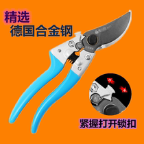 Sagawa Tin Germany imported SK5 alloy steel Fruit tree pruning cutter Garden branch shears labor-saving elbow scissors