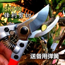 Taiwan Sagawa Tian horticultural Fruit tree pruning shears branch scissors Labor SK5 steel household twig shears
