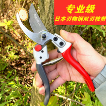 Sagawa Tian Japan imported steel pruning shears branches fruit trees labor-saving branch scissors SK5 steel branch scissors