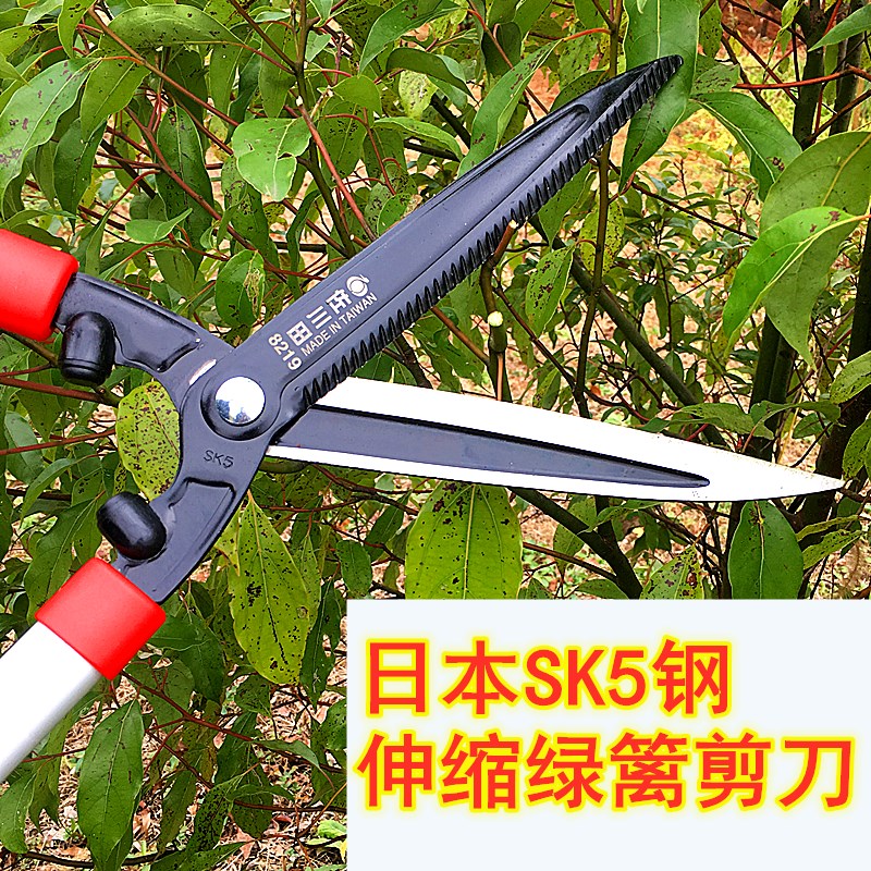 Sagawada Japan imported SK5 steel landscaping large scissors shear lawn leaves lengthened tea tree garden pruning
