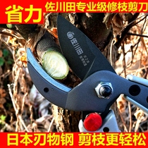 Sagawa Tian single-edged Japanese steel branch shears imported SK5 steel pruning shears garden fruit tree scissors labor-saving