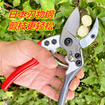 Sagawa Tian Japan SK5 steel Fruit tree pruning shears garden shears branch blade steel gardening labor-saving branch shears aluminum handle