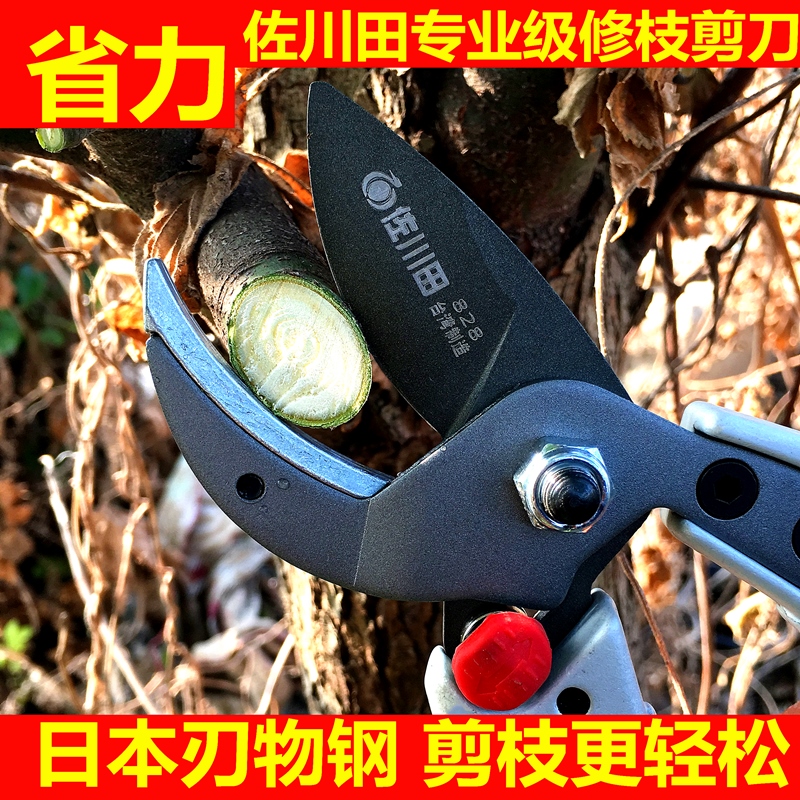 Sagawada single-edged Japanese steel fruit branch shears twig import SK5 steel pruning shear garden fruit tree scissors labor saving