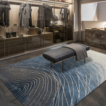 Turkey imported carpet Living room simple modern coffee table Blue bedroom Nordic ins light luxury American bedside blanket