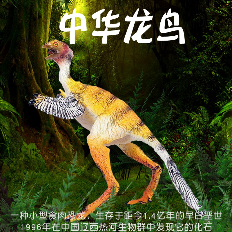 Lin Changmo plays Jurassic Chinese dragon bird like bird dragon tail feather dragon near bird dragon model children's toy simulation animal
