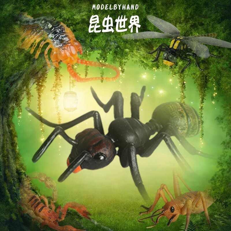 Forest Beston Play Simulation Insect Model Children Toy Animal Crickets Butterfly Bee Mantis Mantis Locusts Spider Lizards