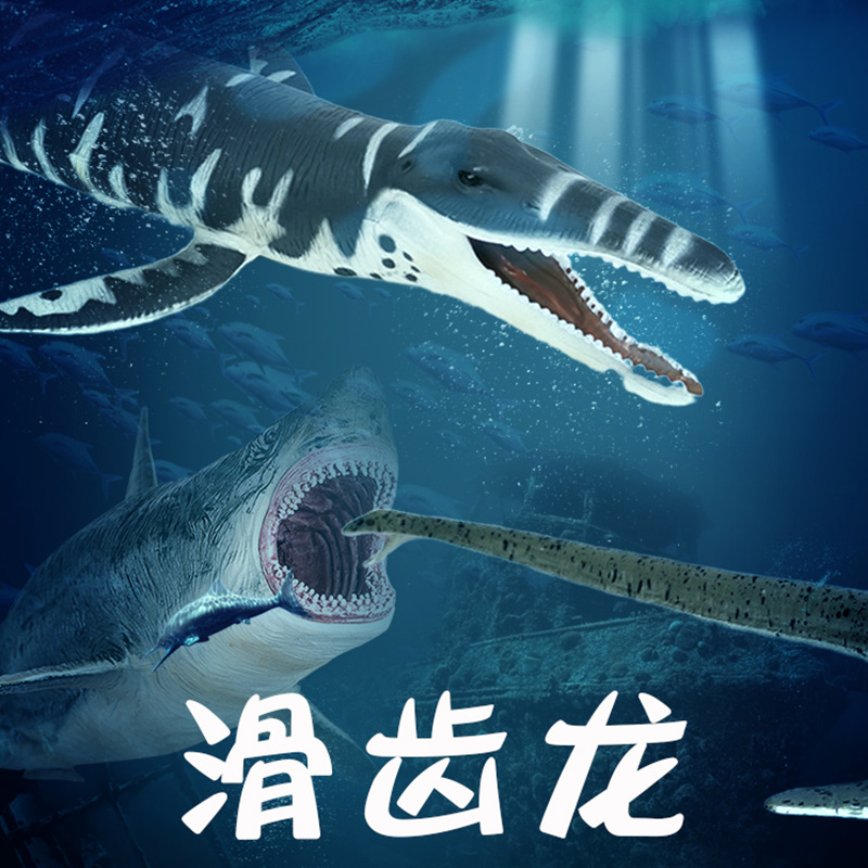 Lin Changmo play Canglong Plesiosaur ocean dinosaur model Megalodon Deng's fish simulation animal children's toys