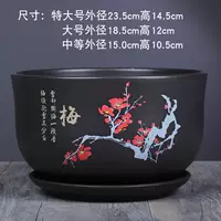 510 сливовая слива одиночная и средняя