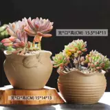 Грубая керамика Оригинальная почвенная стрельба неглазурованная суккулентная растительная керамическая цветочная горшка Простая творческая зеленая зеленая плантационная комбинация