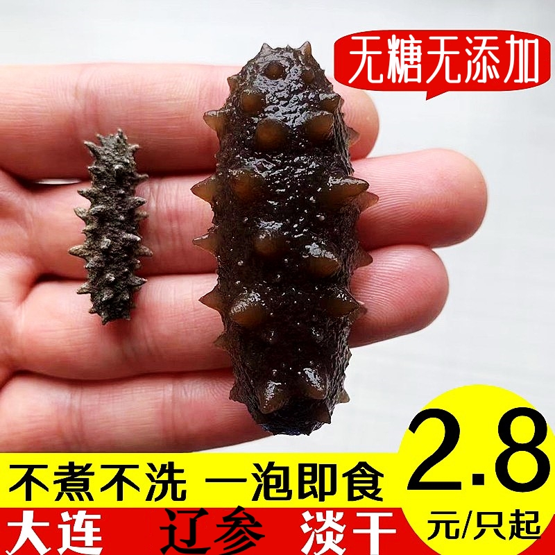 大連 軽度乾燥 バルク ナマコ 乾燥品 妊婦 ミニ 遼 ナマコ 速放 深海底播種 野生 即食 500g