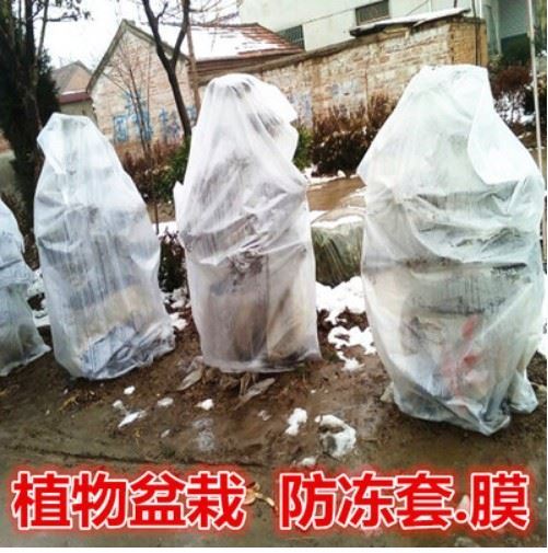 Fruit Tree Antifreeze Insulation Film Antifreeze Plants Winter Antifreeze Plastic Fabric Insulation Bag Winter Flower Pot Insulation Cover