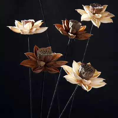 Value popular ins Yunnan dry flower decoration Wood Lotus handmade Lotus Lotus Lotus Lotus landing shooting props