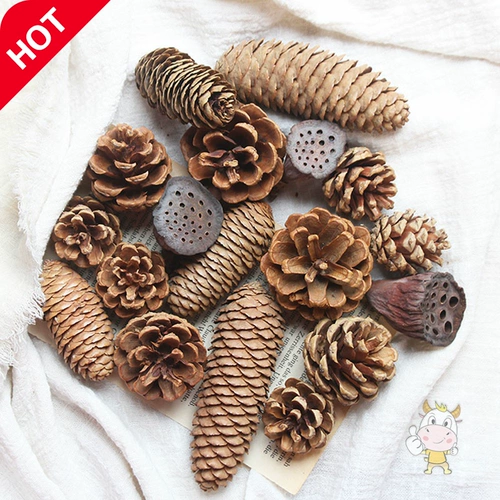 DIY LOTUS Fluten Tower Семена ручной работы сухой детский сад натуральный лес