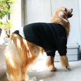 Большая собачья одежда, большая собака осень, зима и зима, теплая зима, золотистый ретривера, зимняя одежда на самуи