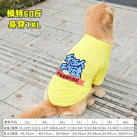 Желтый сушеный рис люди тонкие