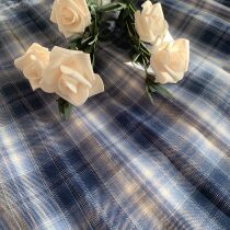 Kasuga (not falling moon) spot original jk uniform Orthodox dress female short pleated skirt Blue Girl