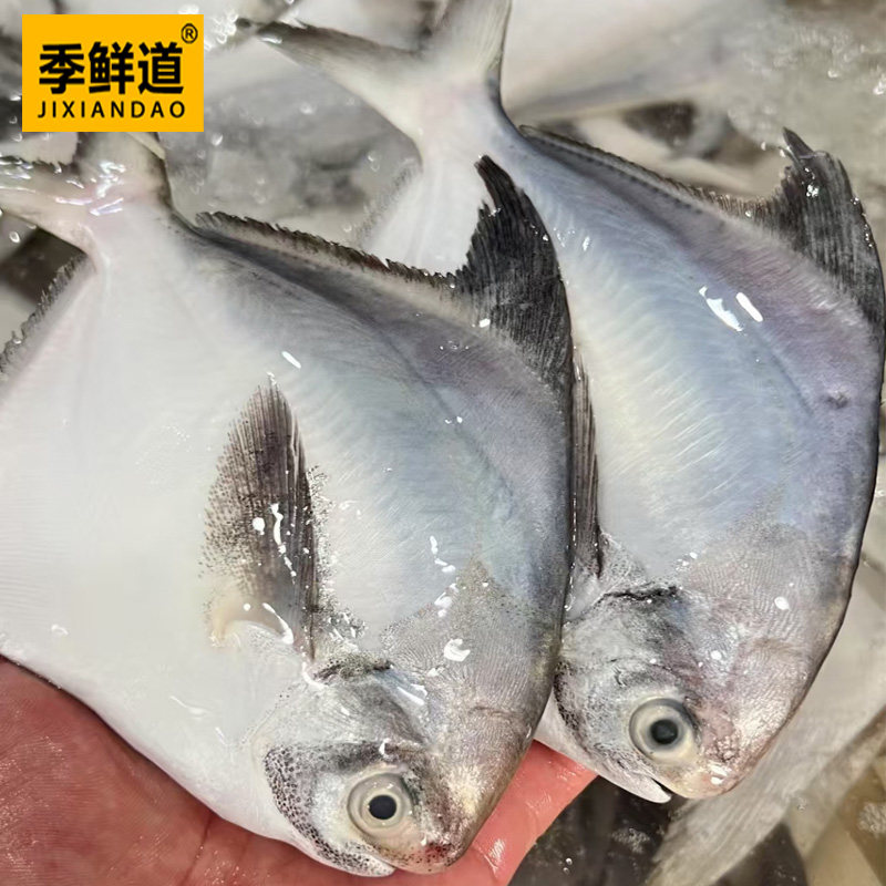 季鲜道本港白昌鱼为何被称为海鲜界的“深海小王子”?-鲳鱼-淘宝好物网