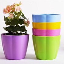 Flower Pot Personality Mega Creative Multimeat Interior Minima Portable Turquoi Plastic Basin Flower Vat with trays Multi-purpose Desktop