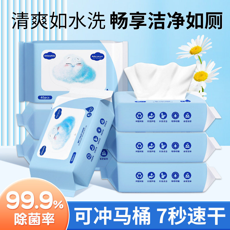 一次性便携湿厕纸擦屁股厕所纸巾厕纸湿巾洁厕卫生纸家用湿厕巾