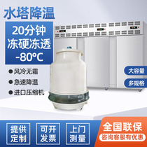 Quick freezer water tower type minus 80 degrees low temperature freezer freezer air-cooled freezer bun dough commercial freezer