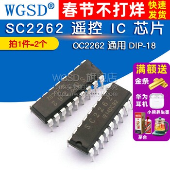 Wgsd Remote Control Ic Chip Sc2262 Oc2262 Universal Dip-18 (2 Pieces)