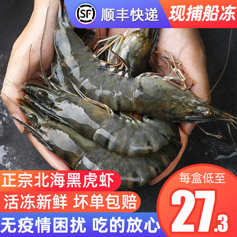 Black Tiger Shrimp Fresh frozen Extra Tiger Shrimp Ice Shrimp Sea Shrimp Frozen Seafood Aquaculture Shrimp 9 Spotted Shrimp