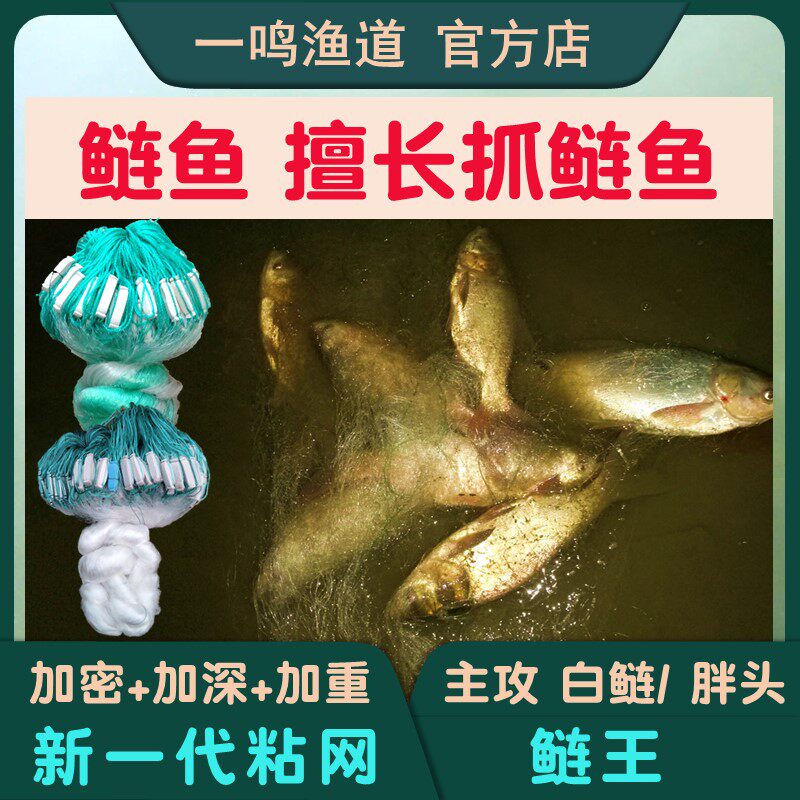 Silver carp fish net silver carp fat head flower silver carp bighead carp sticky mesh wire mesh large fish net sinking net floating net three-layer fishing net encryption bold