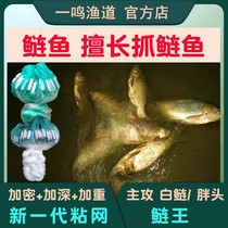 Silver Carp Nets White Silver Silver Carp Silver Carp Silver Carp Sticky Mesh Silk Nets Big Fish Web Sink Web Floating Nets Three Layers Of Fishing Nets Encryption Plus Coarse