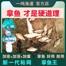 Sticky Nets Fish Mesh Silk Nets Three Layers Net Sink Nets Fishing Nets Stickfish Nets Hanging Fish Nets Encrypt Big Pockets Accented With Fish New