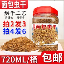 Breadworm dried bird food feed beast Myrna bird food bird food embroidery eye chin nutrition bird feed