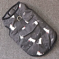 Черная кошка