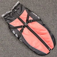 【Оранжевый порошок】