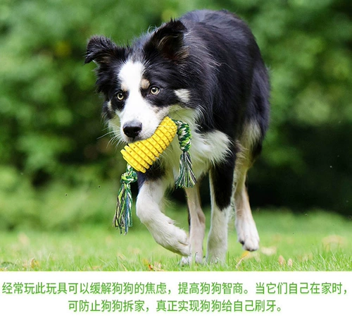 Игрушечные игрушки для собак, чтобы облегчить мудрость и влагу
