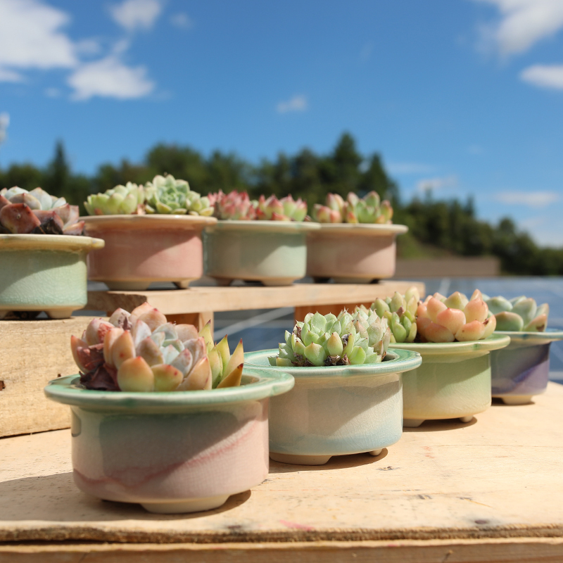 New Style Succulent Flower Pot Ceramic Creative Personality Small Planter with Brimmed Edge, Rainbow Glaze Gradient Color, Indoor Plant Container