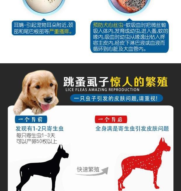 Chó nhỏ bị điếc làm sạch mèo và chó ngoài việc khử nhiễm ngoài bọ chét nói chung bên ngoài sử dụng chó tăng cường để chống lại 20 lần tẩy giun trong ống nghiệm - Cat / Dog Medical Supplies 	kim tiêm cho mèo