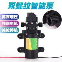 12V volt threaded mouth electric sprayer water pump motor high pressure diaphragm self-priming high power watering car wash water pump