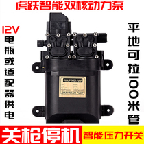 12 V strong high-power intelligent double pump 12V sprayer retrofit double pump high-pressure beating medicine carwash watering water pump